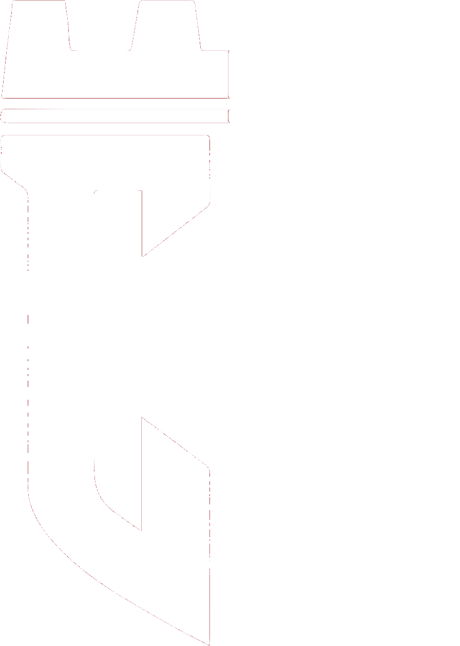 Citadelle Surveillance